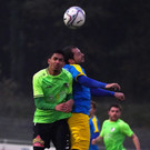 DSC06782aa.jpg