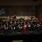 IMG_8644.JPG