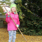 Nützliches Laub und glückliche Igel