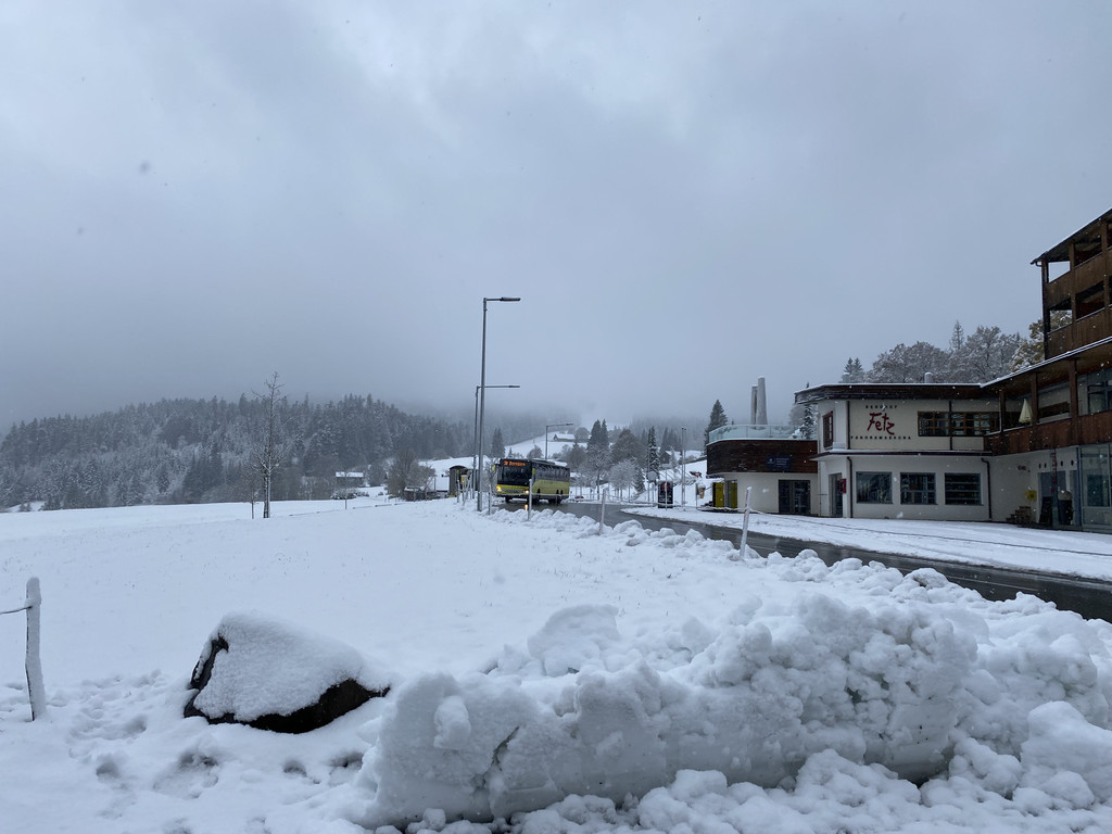 schnee b__dele _1_.jpg