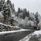 schnee b__dele _13_.jpg