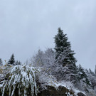 schnee b__dele _2_.jpg