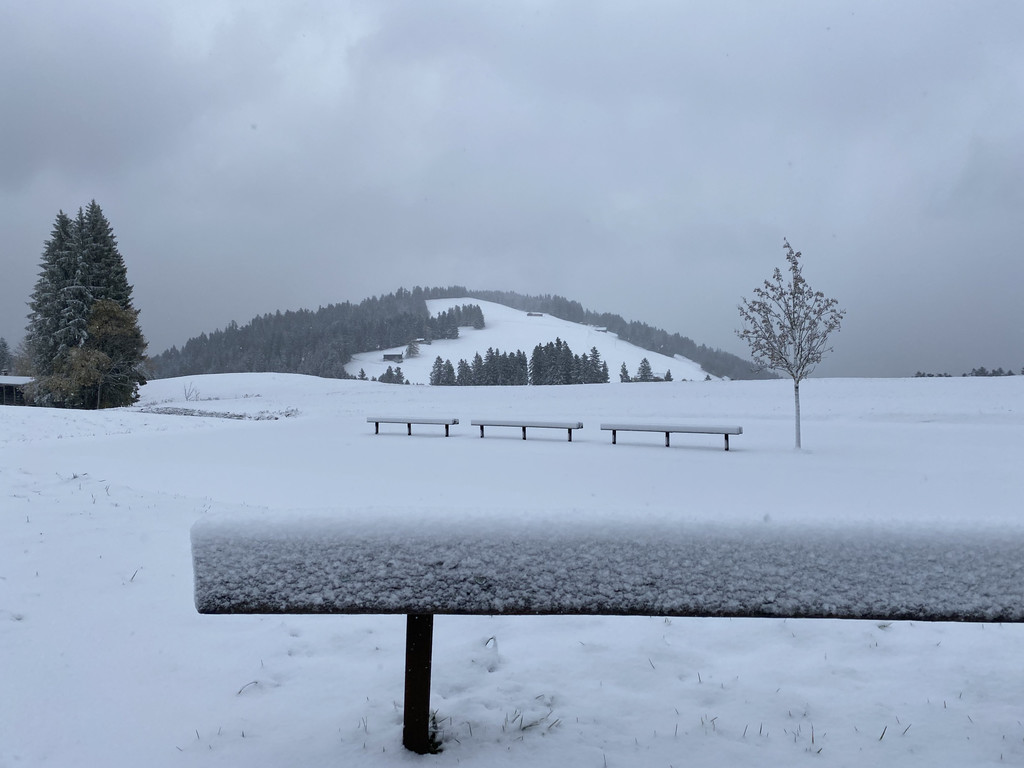 schnee b__dele _4_.jpg