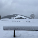 schnee b__dele _4_.jpg