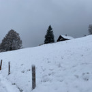 schnee b__dele _5_.jpg