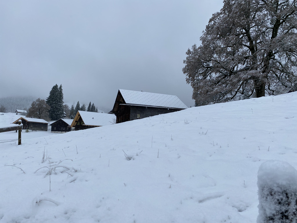 schnee b__dele _6_.jpg