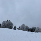 schnee b__dele _8_.jpg