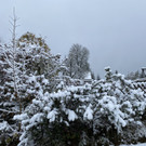 schnee b__dele _11_.jpg