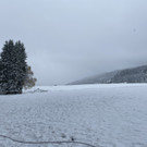 schnee b__dele _14_.jpg