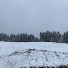schnee b__dele _17_.jpg