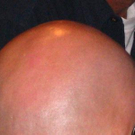 890745.jpg