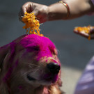 Diwali