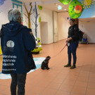 Ein treuer Begleiter für Liam