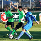 DSC07261aa.jpg