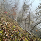 image00003.jpeg