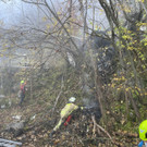 image00009.jpeg