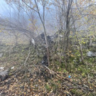 image00012.jpeg
