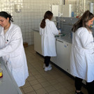 TdoT_HTL_Do_7 _2_.jpg