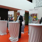 IMG_4184.JPG