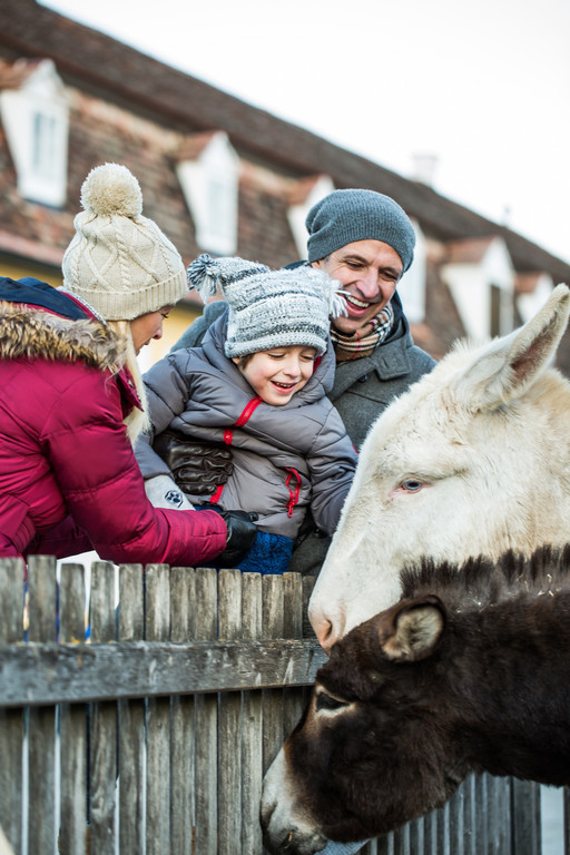 Weihnachtsmarkt Schloss Hof __ SKB_Astrid Knie _5_.jpg