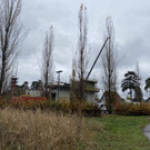 ausweichschule baustelle _16_.jpg