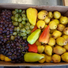 ABD0007-20211118.jpg