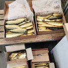 ABD0001-20211118.jpg