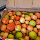 ABD0011-20211118.jpg
