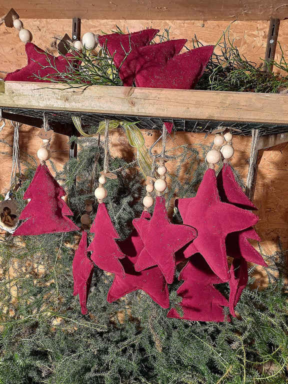 PHOTO-2021-11-13-19-33-07 _1_.jpg