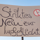 Vienna_at-15.jpg