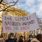 Vienna_at-92.jpg