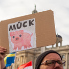 Vienna_at-96.jpg