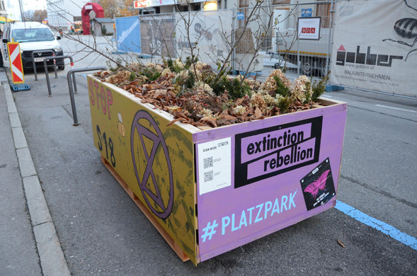 DSC_6853.JPG