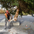 Christbaum aufstellen in Rankweil