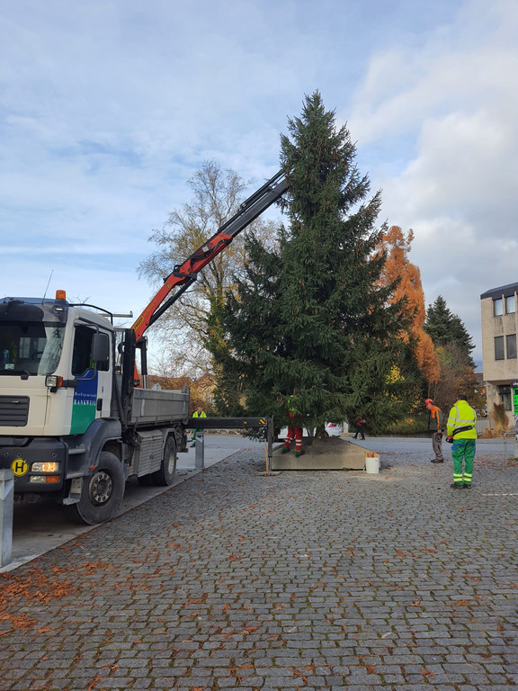 Christbaumaufstellen _2_.jpg