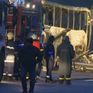 Bulgaria_Bush_Crash_24816.jpg