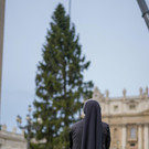 Vatican_Christmas_Tree_97198.jpg