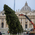 Vatican_Christmas_Tree_83533.jpg