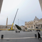Vatican_Christmas_Tree_16423.jpg