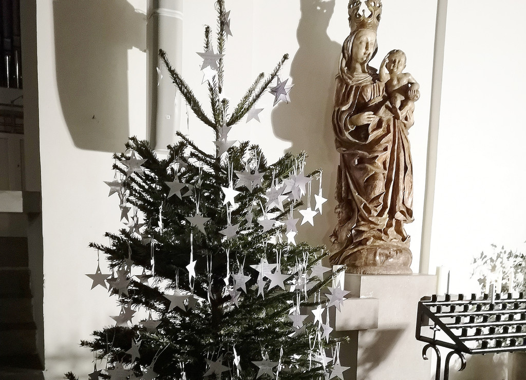 IMG_20210103_171517 _002_ - Kopie.jpg