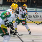 file7ilhc1qgwh41d5cavffx.jpg