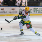 file7ilhc1vlcn731n8fm16.jpg