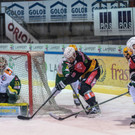 file7ilhcgpgkb6rncz8m16.jpg
