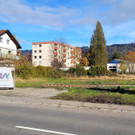 Lochau Wohnbau ZIMA KinderHaus B__umle plus Nachbar KG B__umle hinten November 2021 _3_.jpg