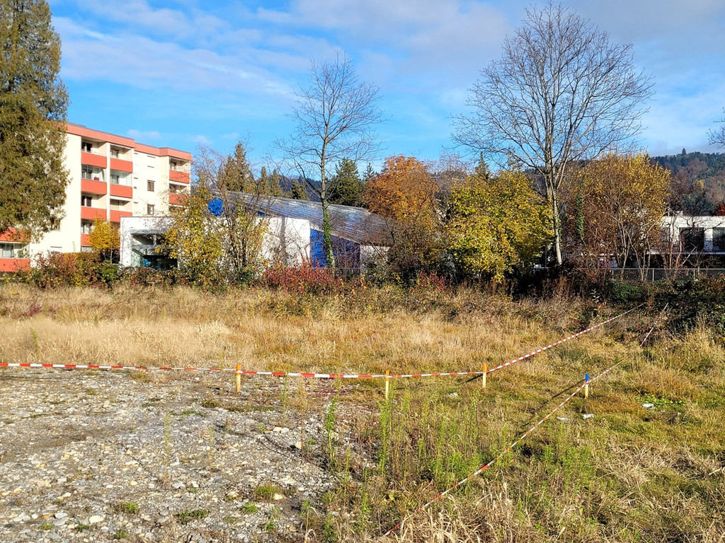 Lochau Wohnbau ZIMA KinderHaus B__umle plus Nachbar KG B__umle hinten November 2021 _4_.jpg