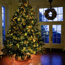2021-11-29T143356Z_46474621_RC2C4R9I79R5_RTRMADP_3_CHRISTMAS-SEASON-USA-WHITE-HOUSE.JPG