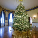 2021-11-29T145855Z_1718037841_RC2D4R9TZUIX_RTRMADP_3_CHRISTMAS-SEASON-USA-WHITE-HOUSE.JPG