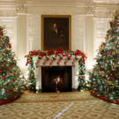 2021-11-29T152434Z_1838191919_RC2D4R9CFMJP_RTRMADP_3_CHRISTMAS-SEASON-USA-WHITE-HOUSE.JPG