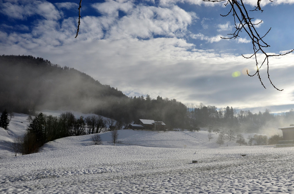 Winter 011221_1.JPG