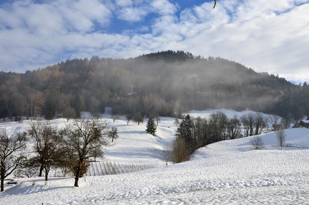 Winter 011221_2.JPG